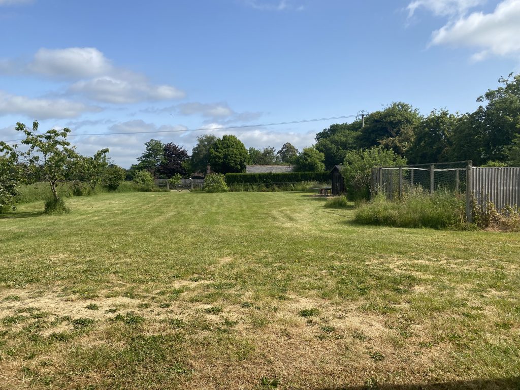 A sunny day view of the grounds at Animals' Voice proposed rescue centre site