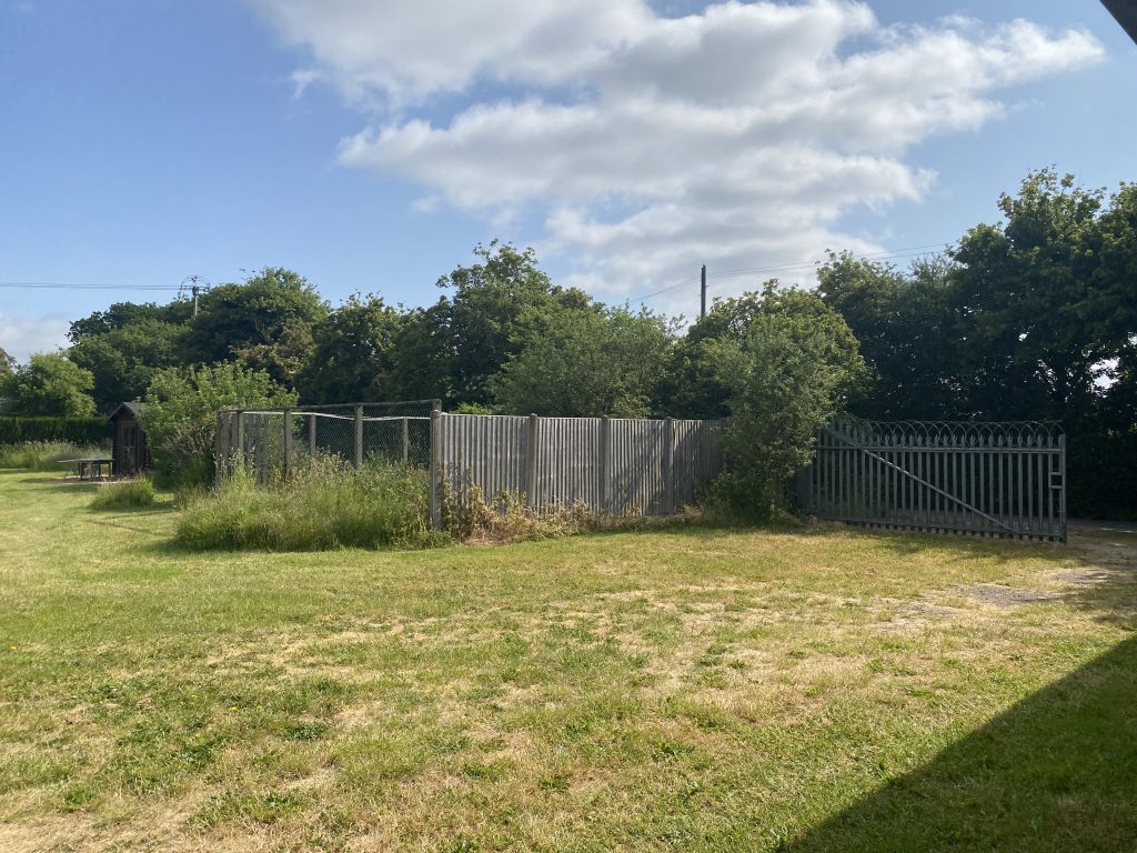 The view from the barn at Animals' Voice. The view includes a gate, trees and grass plus fences