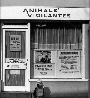 The old shop front of Animals Voice, when it was known as Animals Vigilantes